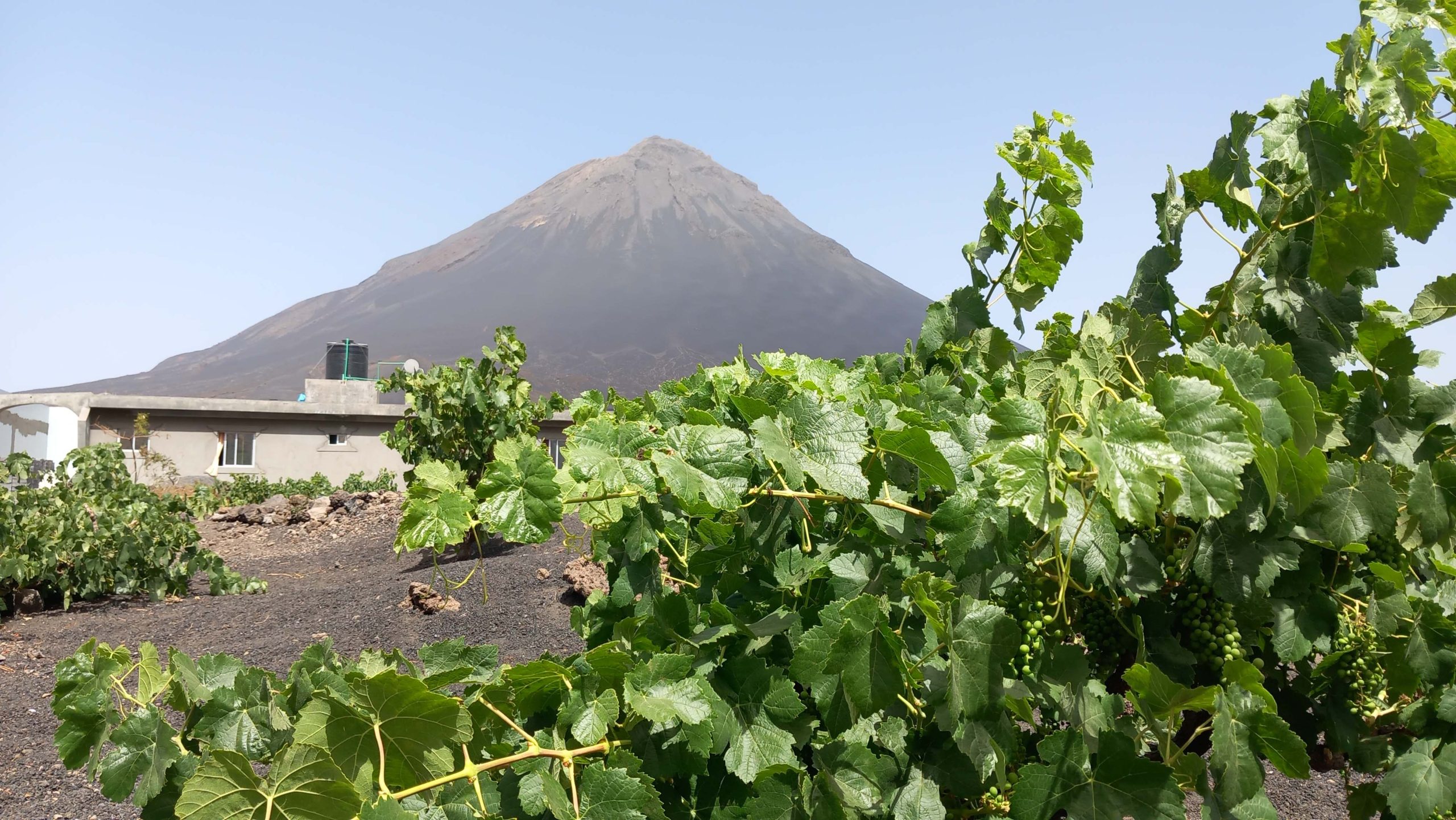 Le volcan Pico de Fogo, au Cap-Vert